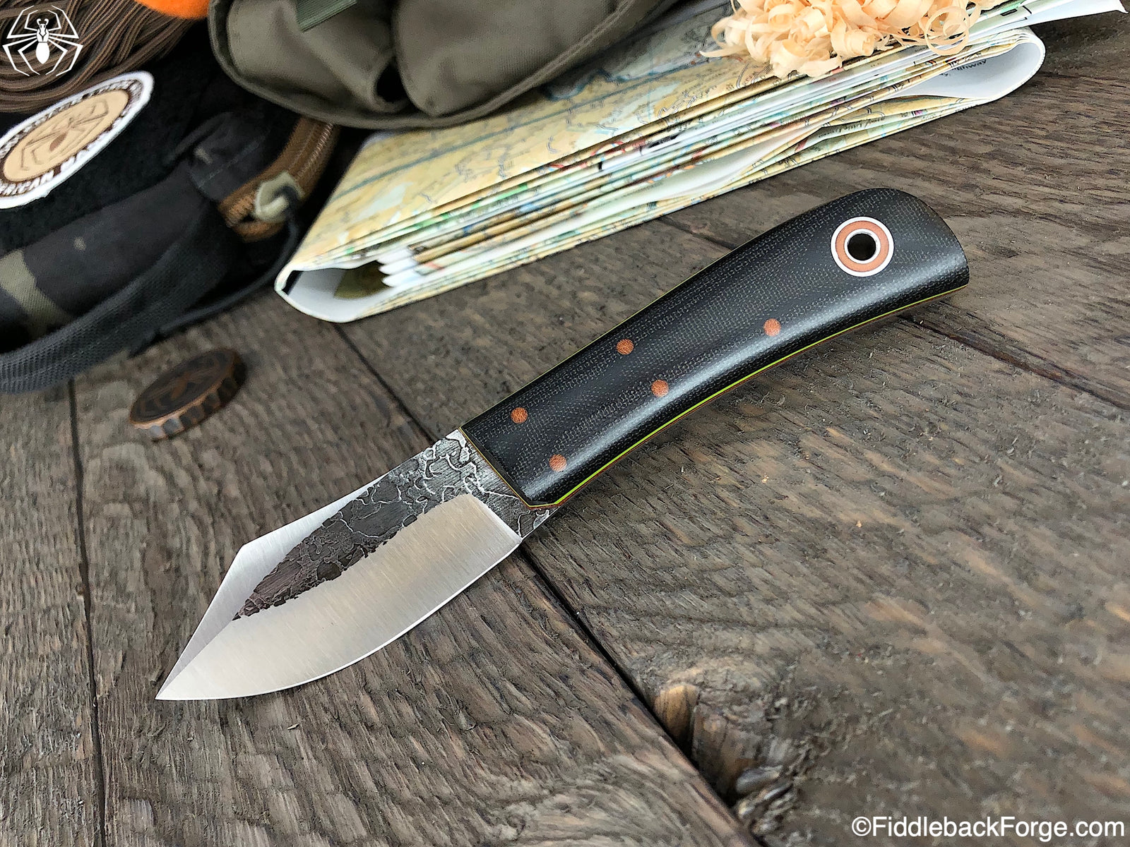 Fiddleback Friday 1/04/19