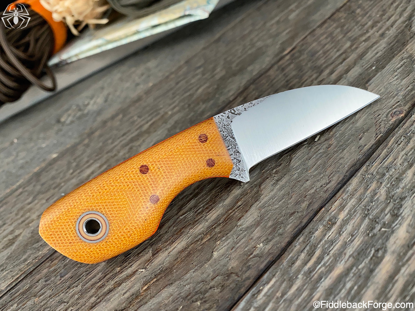 Fiddleback Friday 1/24/20