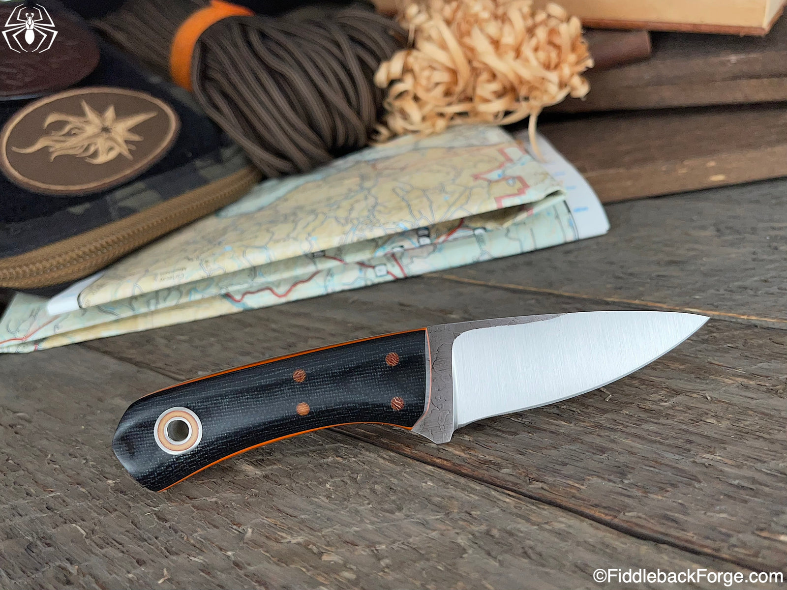 Fiddleback Friday 3/25/22