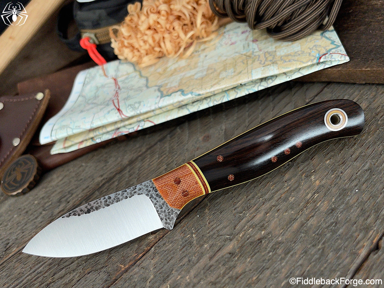 Fiddleback Friday 8/20/21