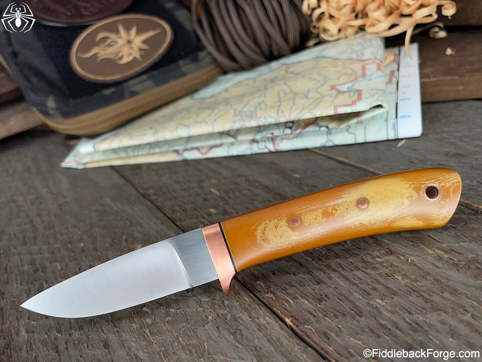 Fiddleback Friday 5/6/22