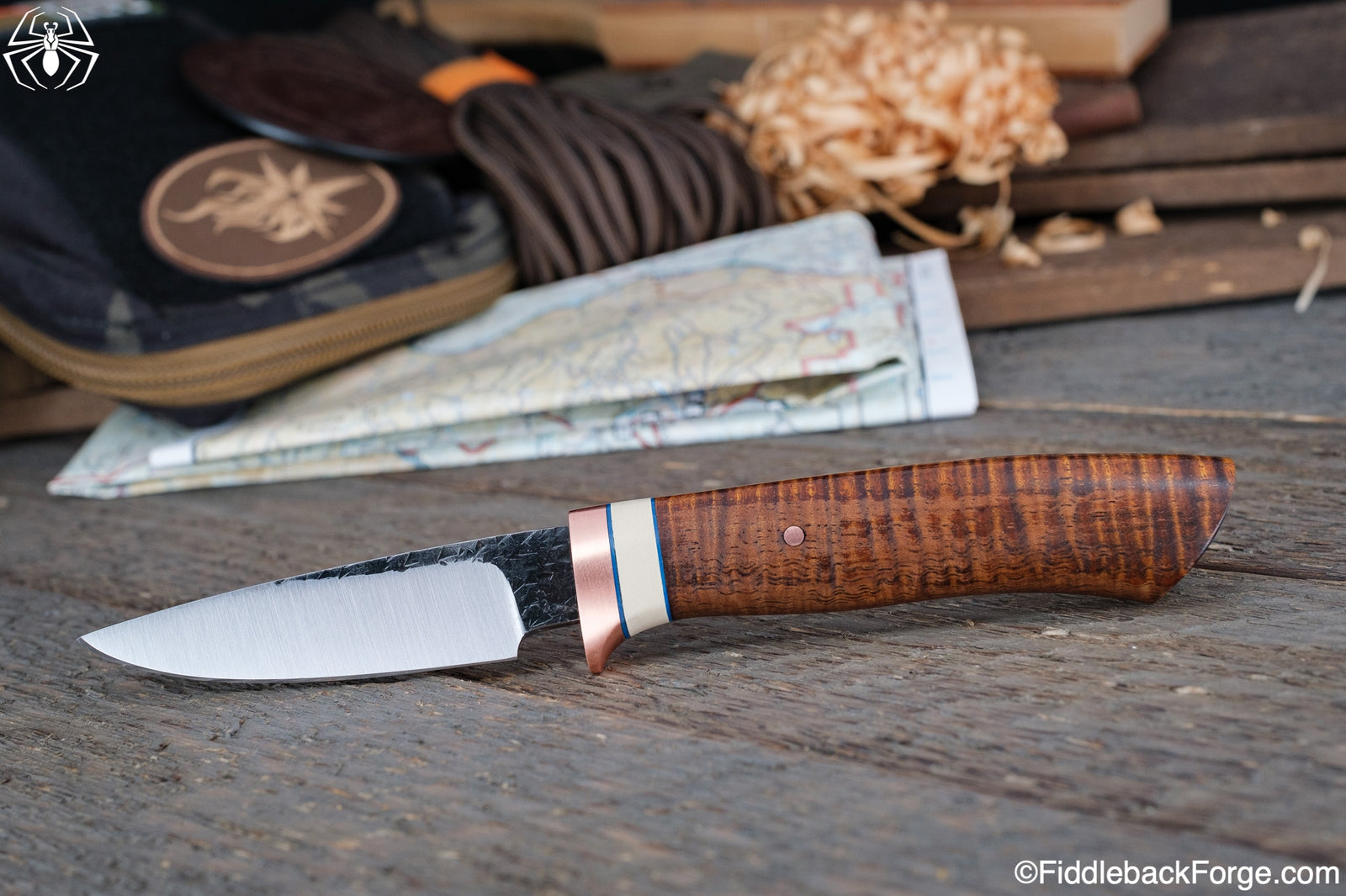 Fiddleback Friday 12/2/22