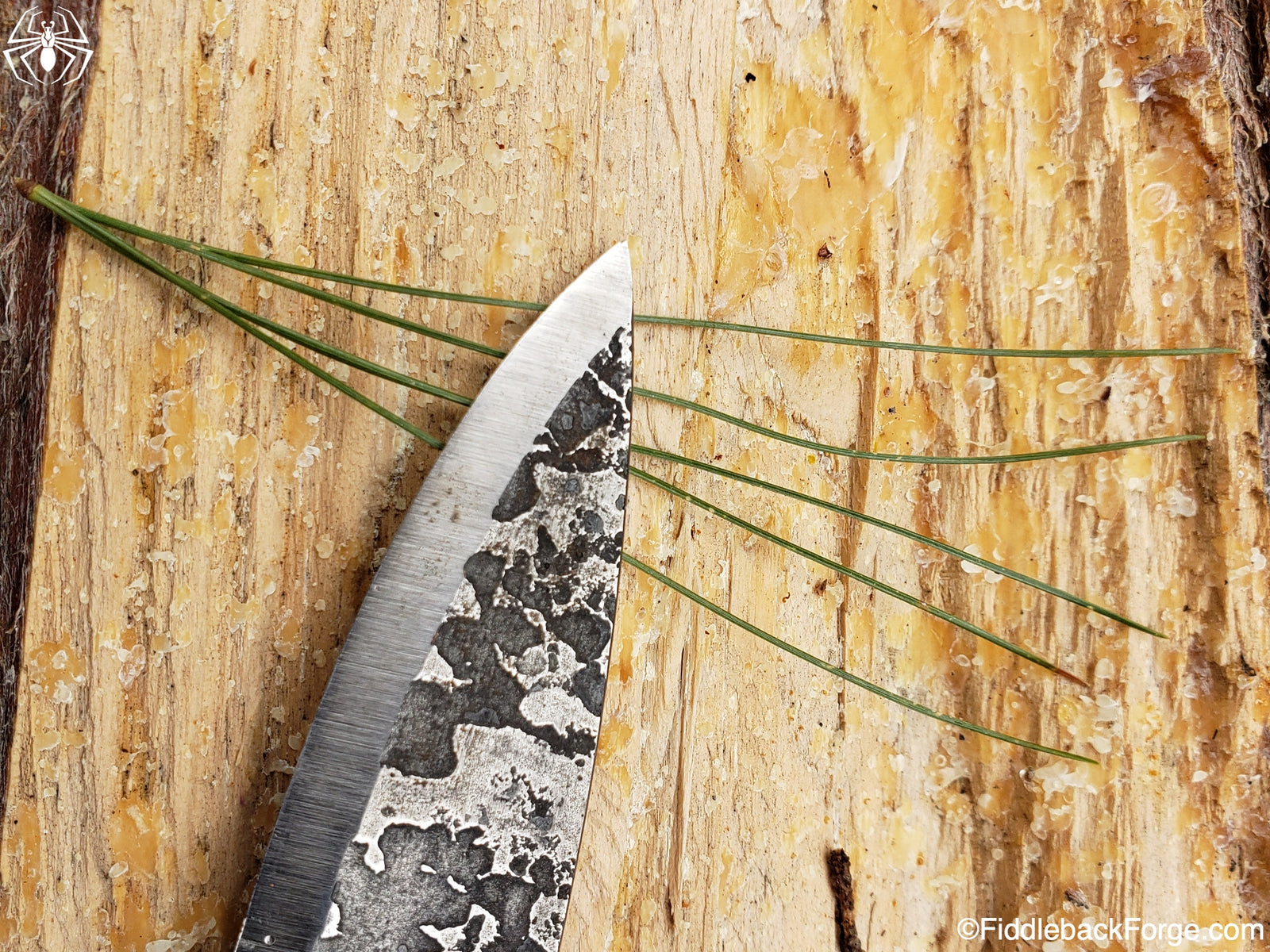How to Construct a Pine-Bark Bowl