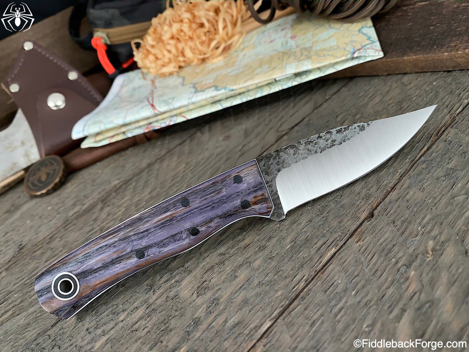 Fiddleback Friday 10/16/20