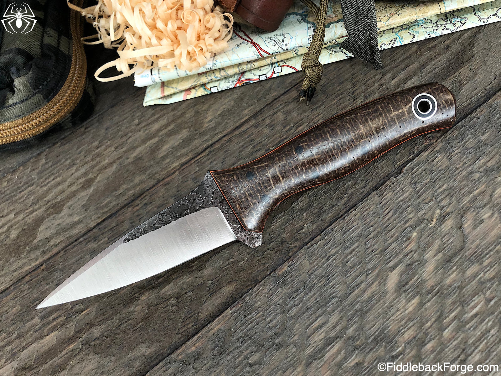 Fiddleback Friday 2/15/19