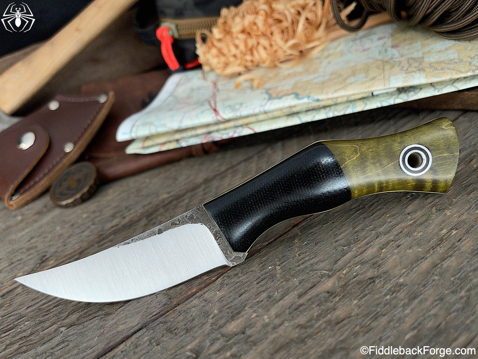 Fiddleback Friday 6/11/21