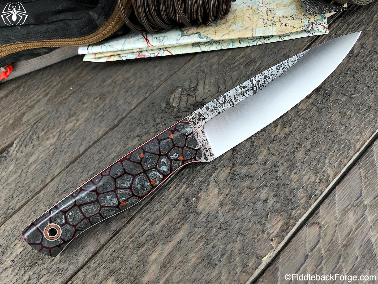 Fiddleback Friday 7/19/19