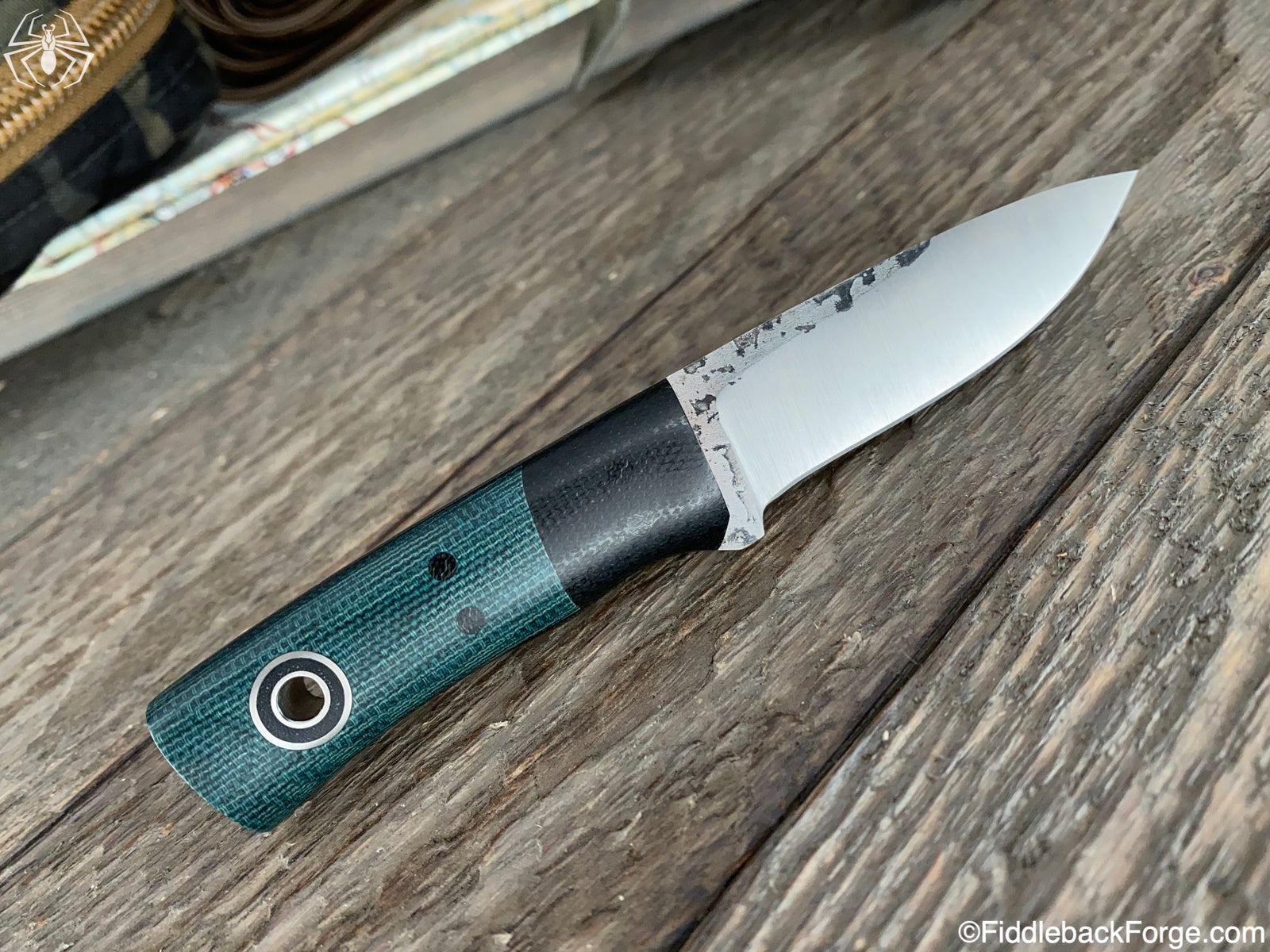 Fiddleback Friday 12/13/19