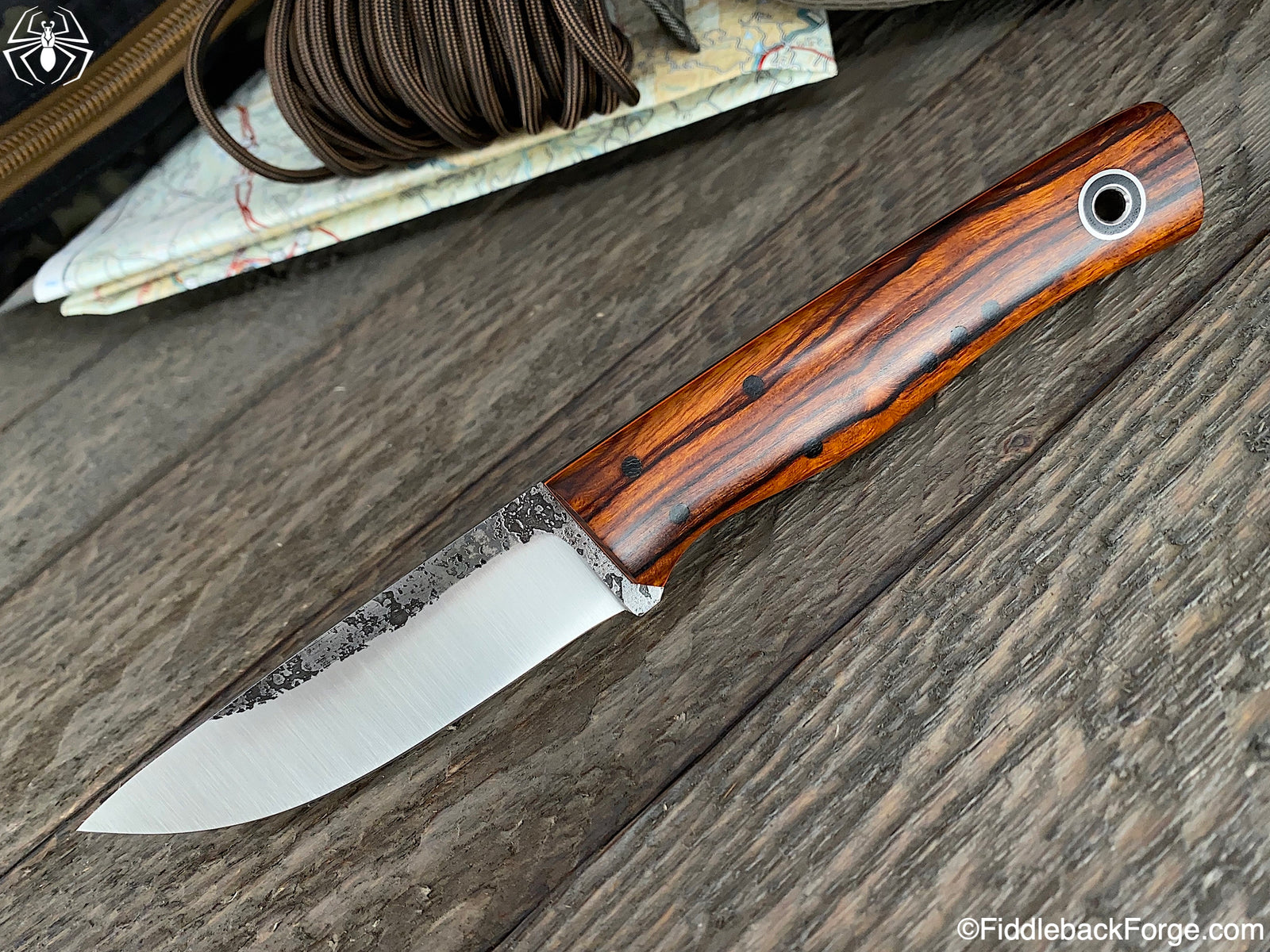 Fiddleback Friday 10/4/19