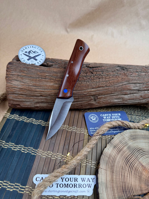 Darlington Edgecraft ScyllaDarlington Edgecraft Scylla