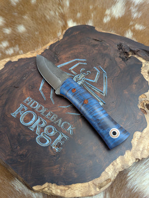 Fiddleback Forge Low Country - Blue Dyed Curly Maple - Tapered Magnacut