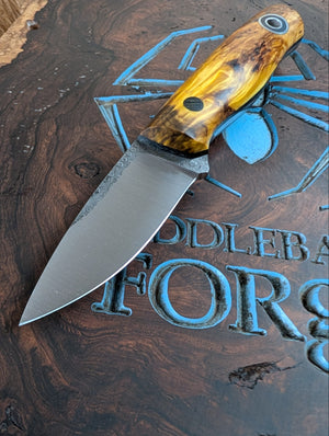 Fiddleback Forge Solo