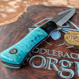Fiddleback Forge Protagonist