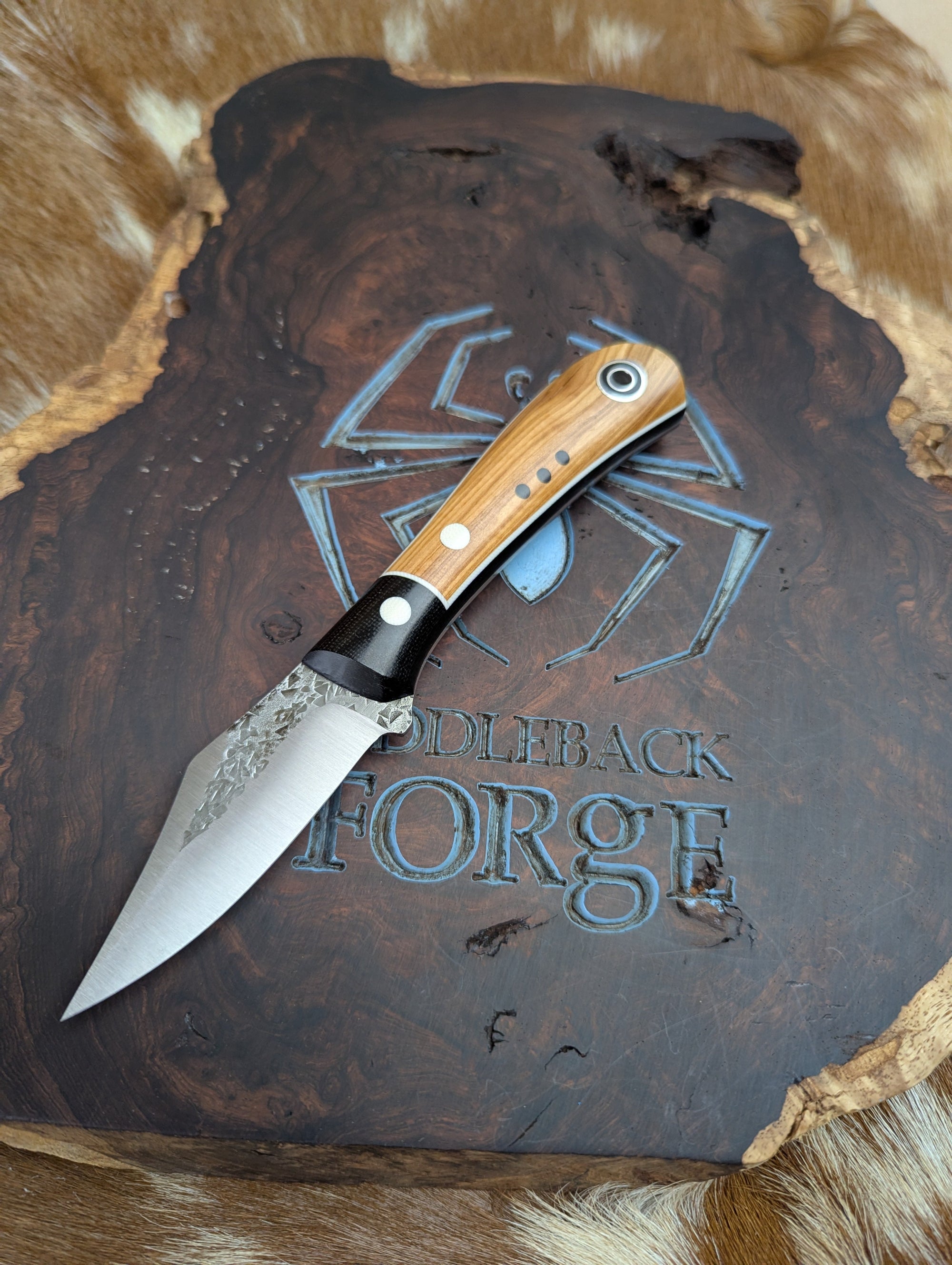 Fiddleback Forge Lonestar EDC - Lovely Warm Olivewood - Tapered Nitro V