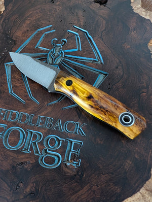 Fiddleback Forge Solo