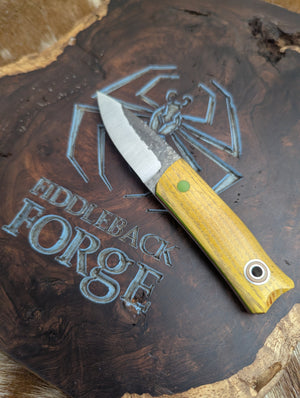 Fiddleback Forge Sgian Dubh - Osage Orange - Tapered Nitro V Steel