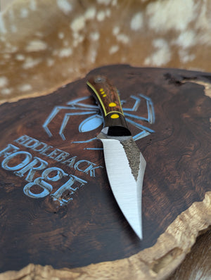 Lonestar EDC - Stabilized and Dyed Leopardwood - Tapered Nitro V