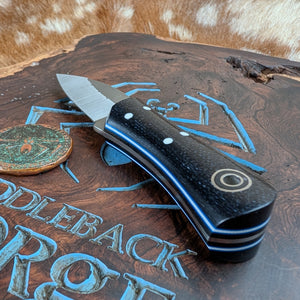 Fiddleback Forge Gnome