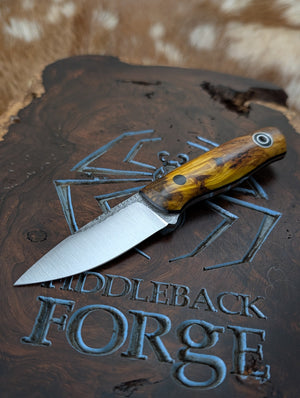 Fiddleback Forge Solo
