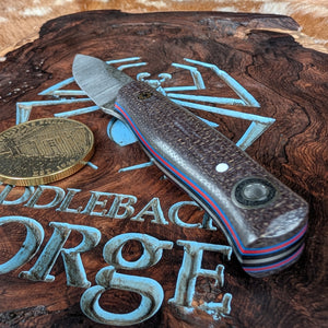 Fiddleback Forge Guardless Hiking Buddy Jr.