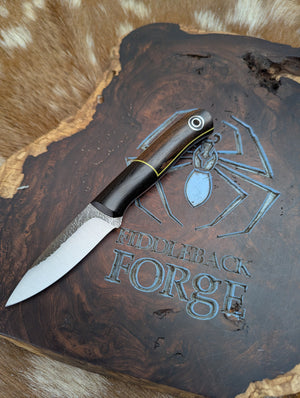 Fiddleback Forge Hiking Buddy - Bolstered Zircote - Tapered A2 Steel