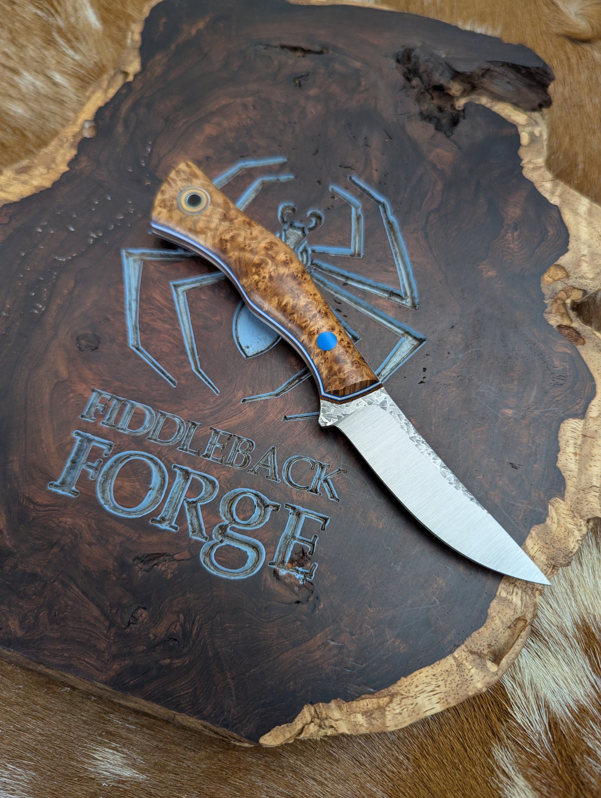 Fiddleback Forge Wingman - Outstanding Black Ash Burl - Tapered Nitro V Steel