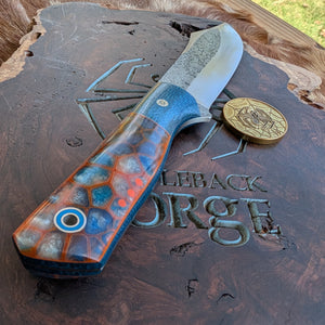 Fiddleback Forge Forager