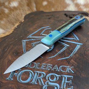 Fiddleback Forge Hiking Buddy