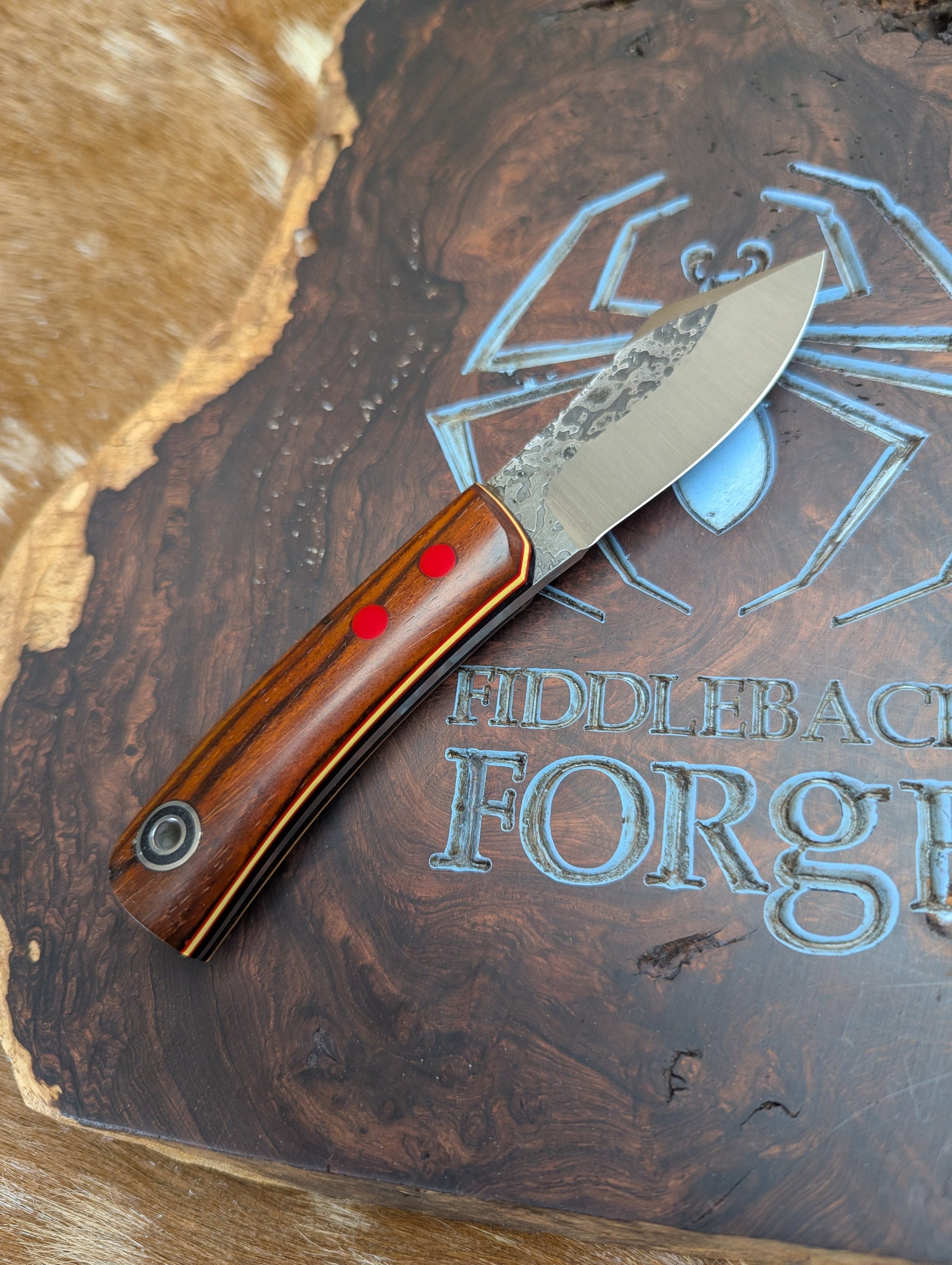 Fiddleback Forge Sylvrfalcen - Cocobolo - Tapered A2 Steel