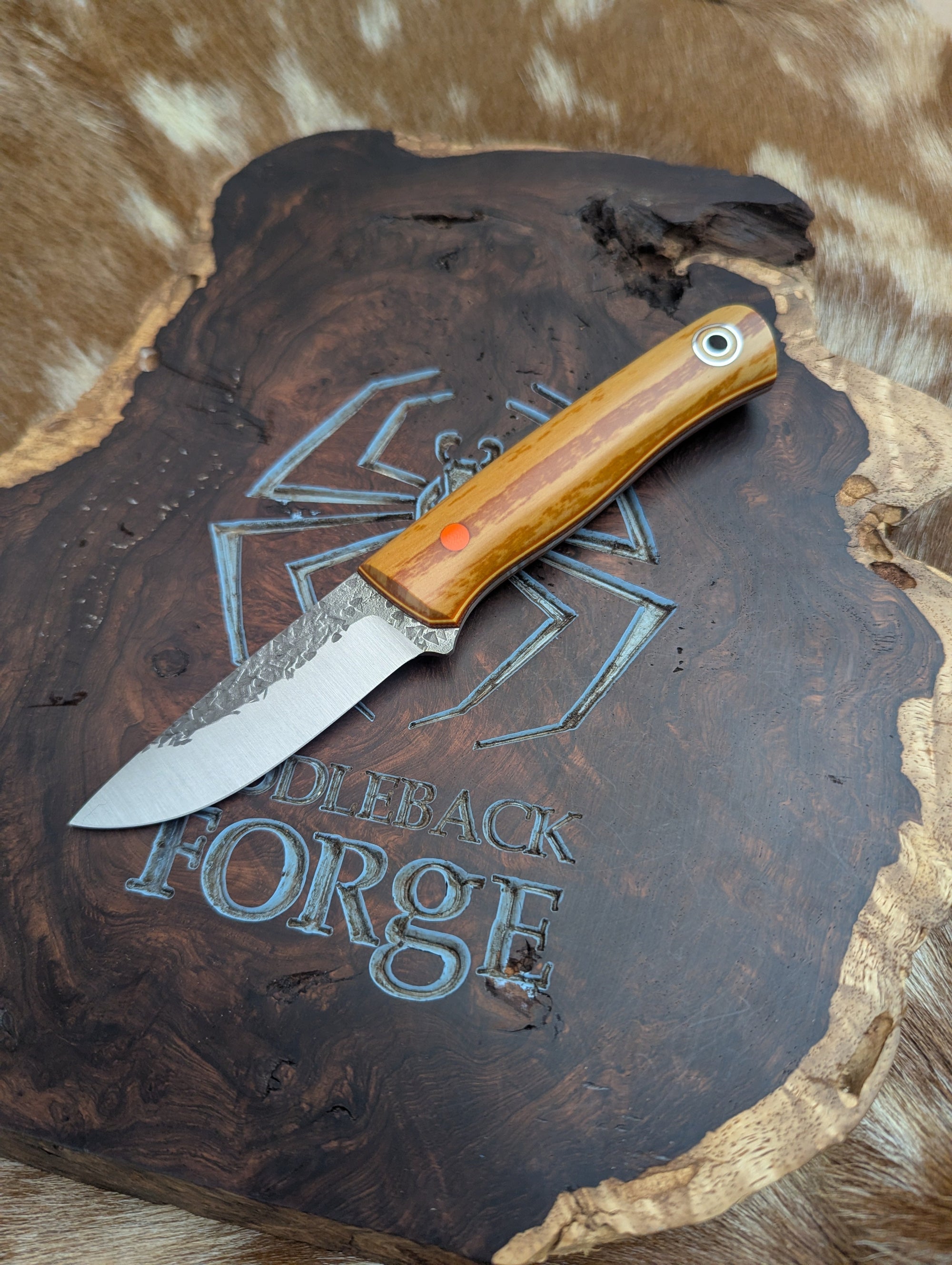 Fiddleback Forge Evangeline