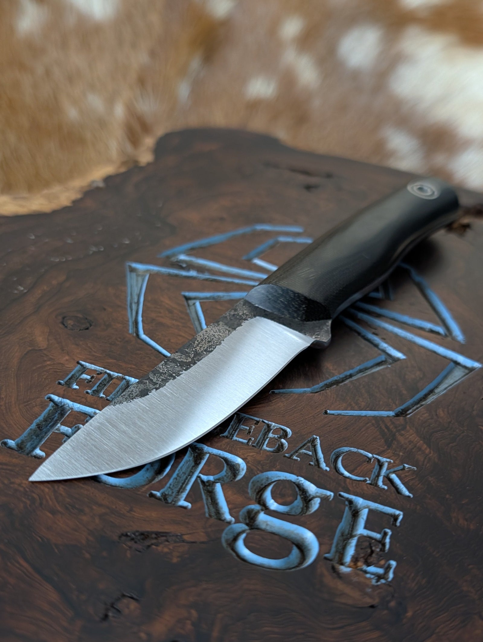 Fiddleback Forge Evangeline
