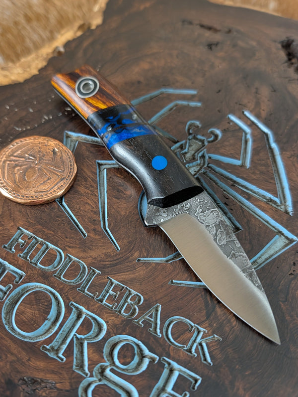 Fiddleback Forge Chicapea - Bolstered Sloat Special w Blackwood and Ir