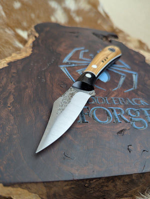Fiddleback Forge Lonestar EDC - Lovely Warm Olivewood - Tapered Nitro V