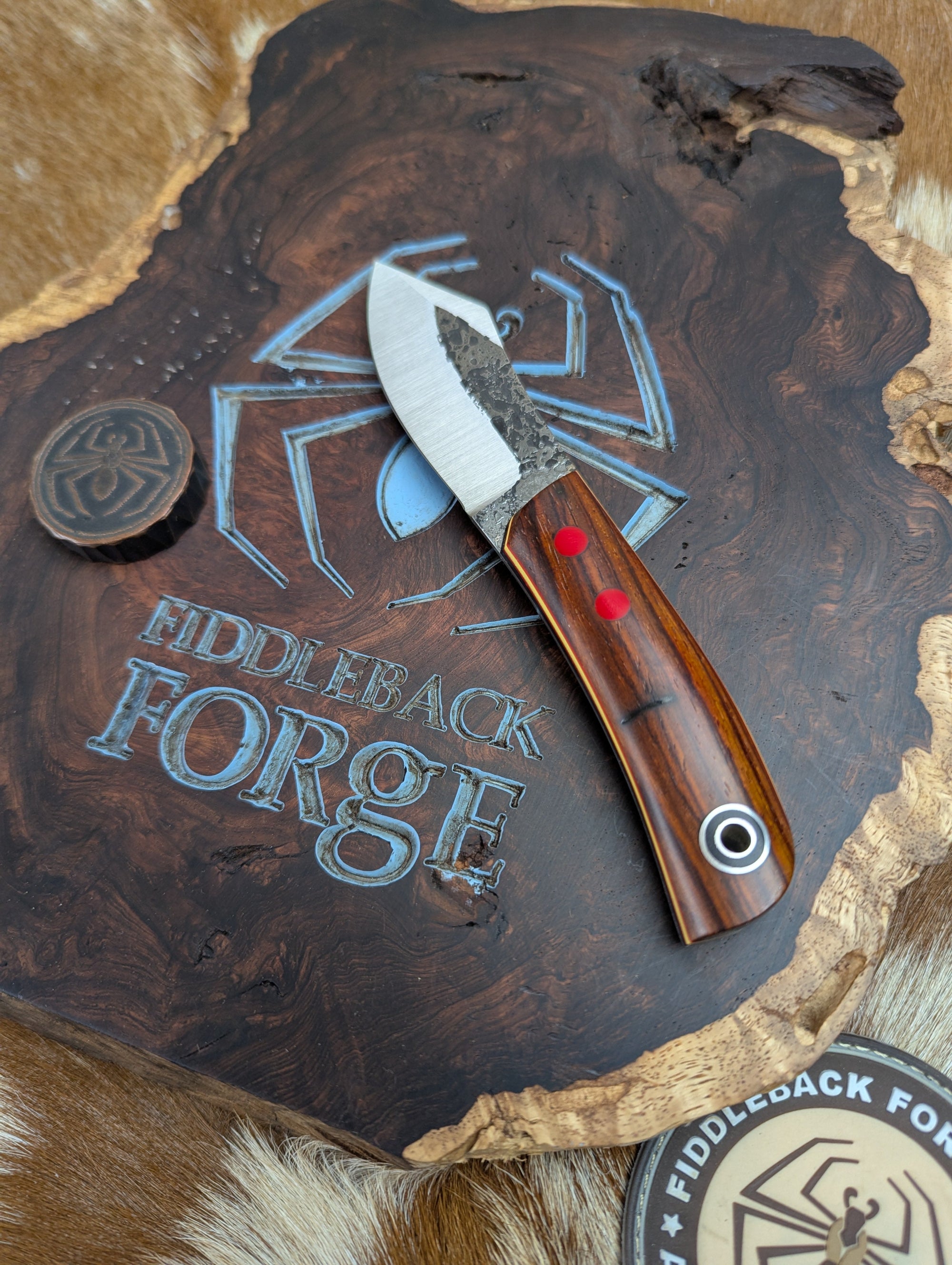 Fiddleback Forge Sylvrfalcen - Cocobolo - Tapered A2 Steel
