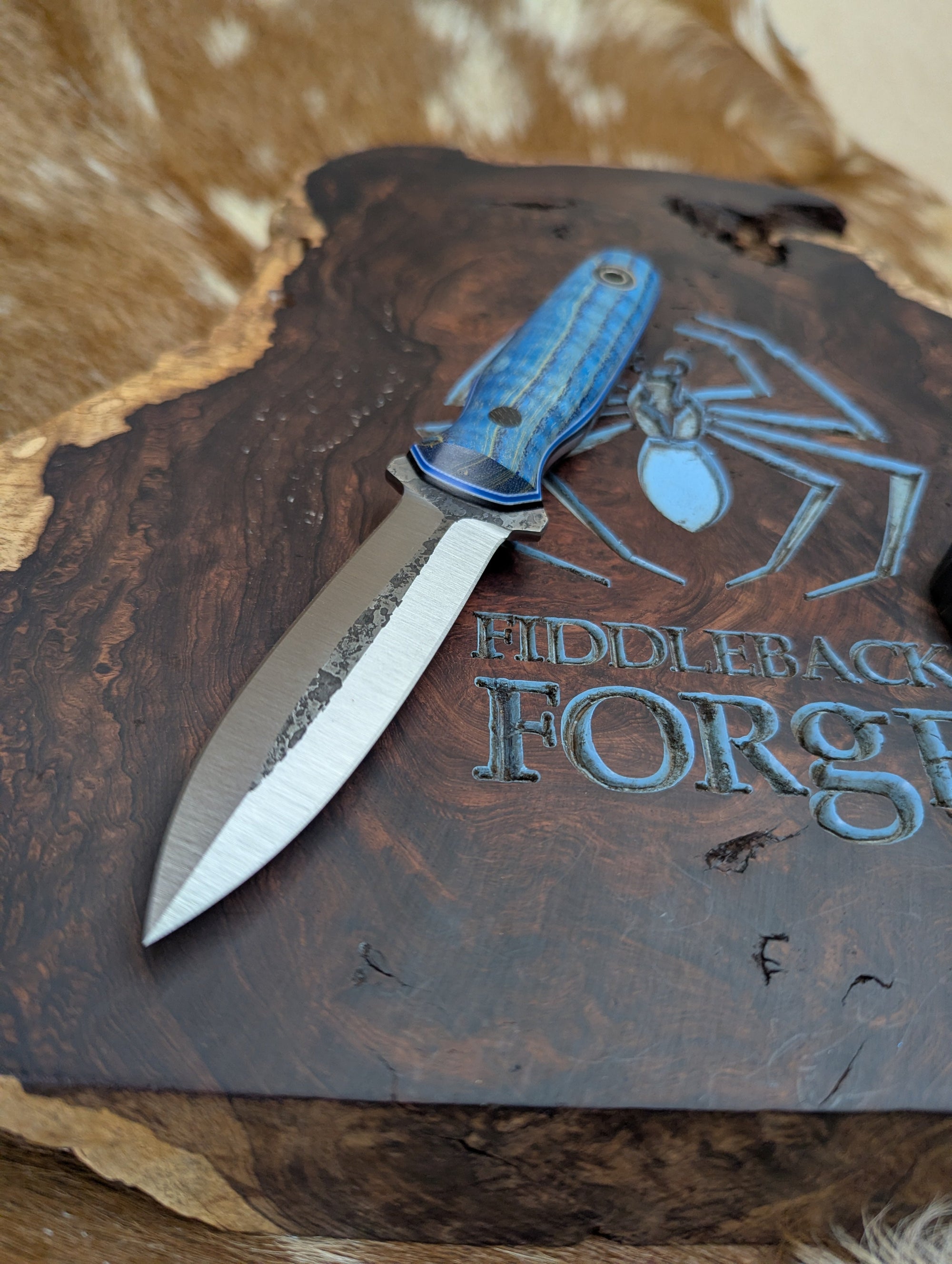 Fiddleback Forge Gullet - Blue Dyed Curly Ash - Tapered A2 Steel