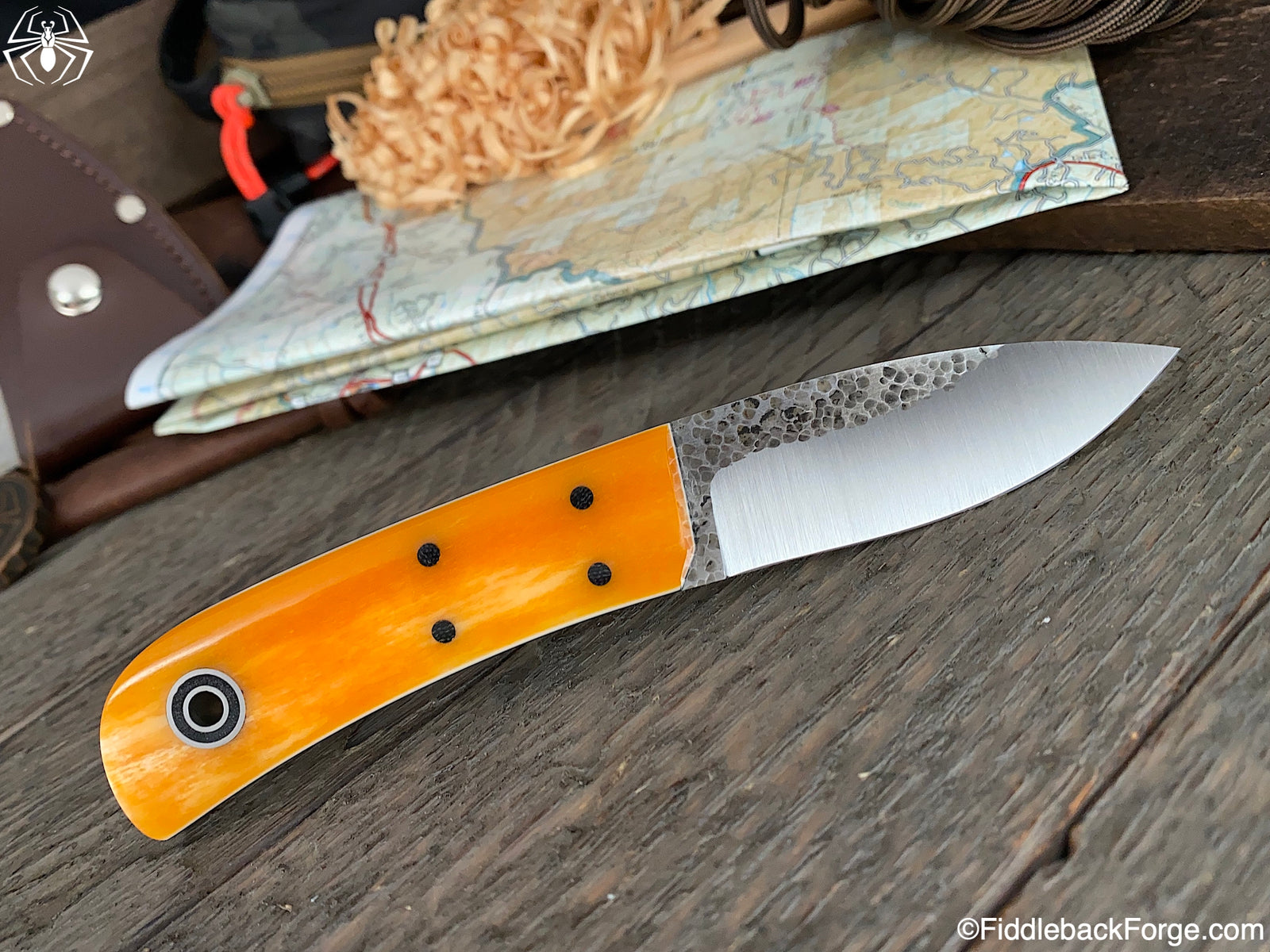 D. Humpback - Model Info