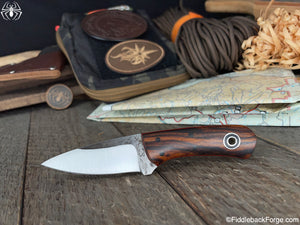 Thorne - Model Info